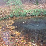 日光金谷ホテル - 庭