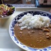 カレー屋 ぞうの神さま