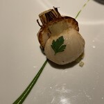 レフェルヴェソンス - カブの定点観測