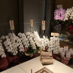 レフェルヴェソンス - 入り口にお花