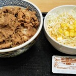 Yoshinoya - 牛丼並352円＋生野菜サラダ108円