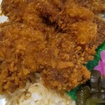 ニコニコ亭 - ソースカツ弁当２枚丼 アップ