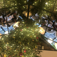 マディソン ニューヨーク キッチン - 