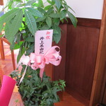 WATANABE CAFE - 