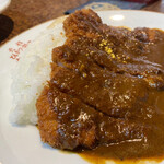 元祖とんかつカレー カツヤ - とんかつカレーB