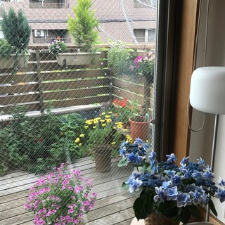 オーガニックカフェ&レストラン レテラ_0