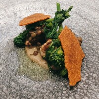 クイントカント - 