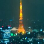 Fish Bank TOKYO - 夜景の東京タワー