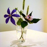 Marumiton - テーブルの花