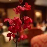 ザ ロビーラウンジ - 