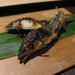 松川 - 鮎の塩焼き