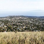 まるたか - 伊豆高原は大室山の噴火により均されて出来ました！