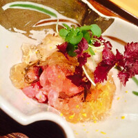 しゅん逢 紗々木 - 