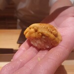 鮨 さかい - 北紫雲丹