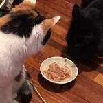 ビストロ セレニテ - お店に猫はいません