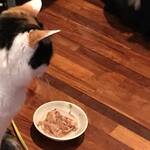 ビストロ セレニテ - お店に猫はいません