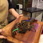 ビストロ セレニテ - 