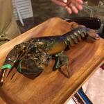 ビストロ セレニテ - 