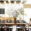 GARDEN HOUSE Shinjuku - 内観写真: