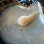 遊海 - 貝柱を食べさせていただけます