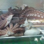 居酒屋　岩ちゃん - ショーケースの中には宝物がいっぱい詰まっていました★☆★