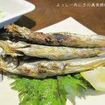 うちのおかん時々おとん - 