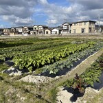 ヴィラ・アイーダ - 