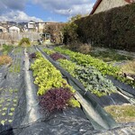 ヴィラ・アイーダ - 