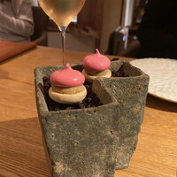 マキノンチ - 