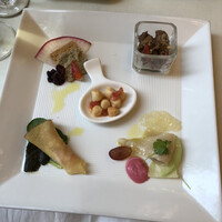 アマルフィイ・モデルナ - 