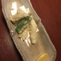 先斗町 四季 よし菜 - 