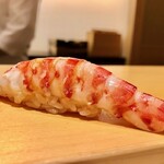 鮨 はしもと - 2020.12.  車海老