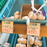 八紘学園 農産物直売所 - 　【2020年12月】冬期の売場：江別産にんにく。