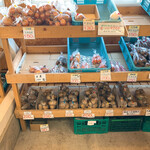 八紘学園 農産物直売所 - 　【2020年12月】冬期の売場：道央産のじゃがいも、江別産の玉ネギなど。