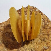 ラール・エ・ラ・マニエール - 