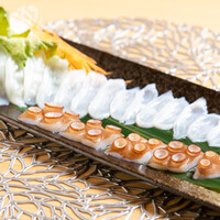 活たこ・創作料理 さるのこしかけのご予約 - 心斎橋/居酒屋 | 食べログ