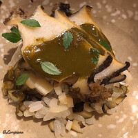 御料理 寺沢 - 鮑は鮑の肝ｿｰｽとともに