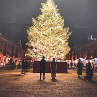 LITORANEO - 市庁舎のフリースペースの壁に！！