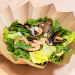 カリーナ・イルキャンティ - 