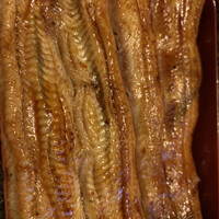 大塚 うなぎ宮川 - 