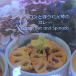 ベンガルタイガー - llotus and spinach