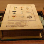 ラチュレ - 茸図鑑？