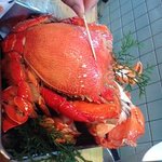 田助寿司 - あさひ蟹、メッチャ美味かった～