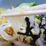 Tanukian - たぬきそば接写。シコシコの麺です。