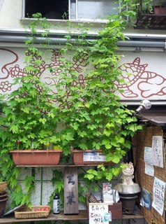 Yasai Izakaya Genki - 金魚と緑のカーテンでお出迎え☆彡