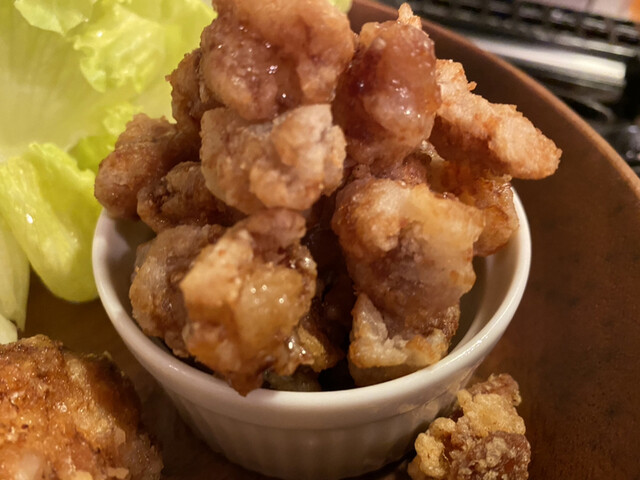 Tori Kai Kanayamasohonten photo 2