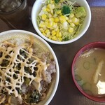 すき家 - 牛丼大盛(480円)/高菜明太マヨTP(130円)/サラダセット(170円)