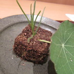 神保町 傳 - ここから6/25分です