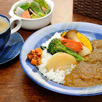 Medicinal Food venison curry