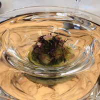 マダム・トキ - 【デジュネA（平日限定ランチメニュー）】（4400円税込）※別途サービス料10%◇前菜【ブロッコリーと菜花のタルタル　北海道産ボタンエビとクリスタルなトマトジュレ】